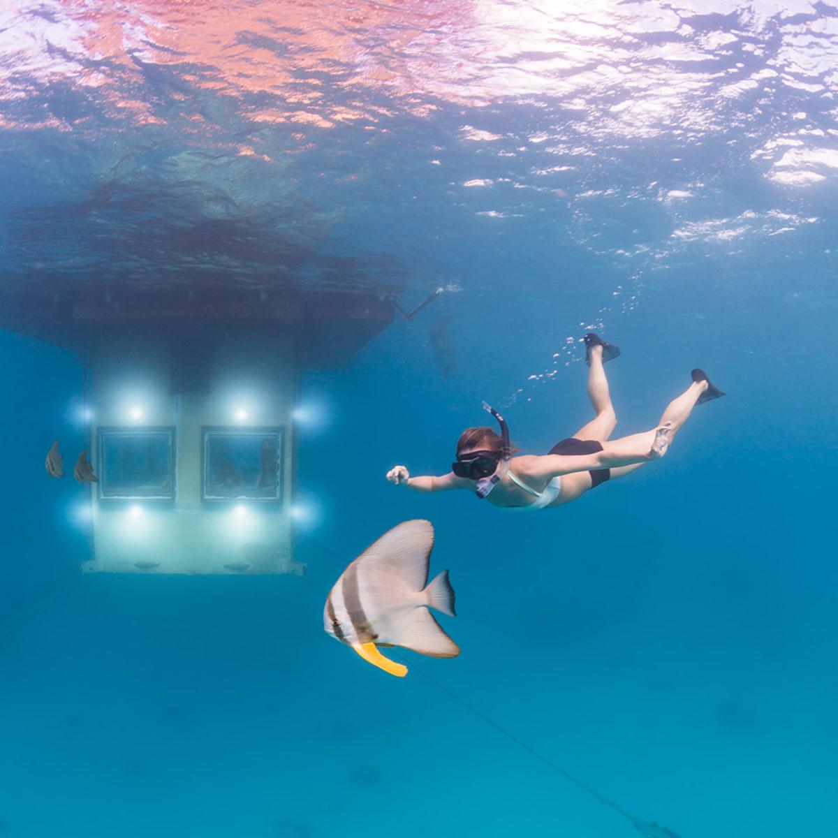 Image montrant un nageur dans l'eau bleue de l'hotel des 4 éléments.